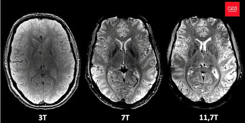 CEA IRM 2026 2030 03042024