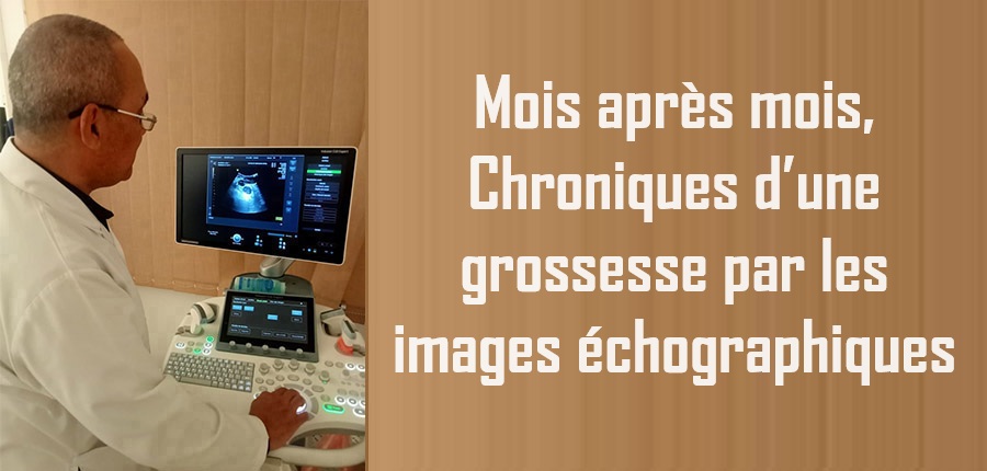 Mois après mois, Chroniques d’une grossesse par les images échographiques