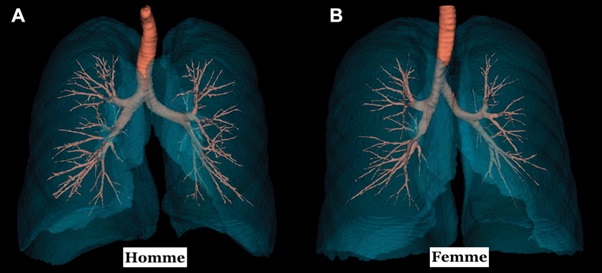 tdm homme femme 23082022
