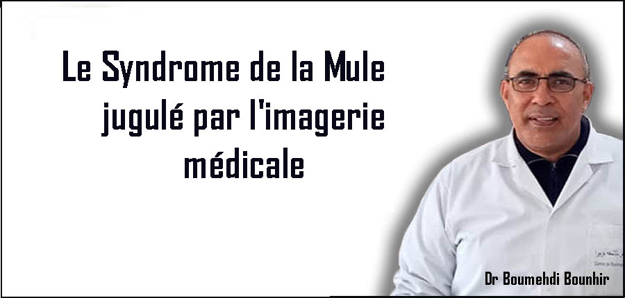 "Le Syndrome de la Mule" jugulé par l'imagerie médicale 